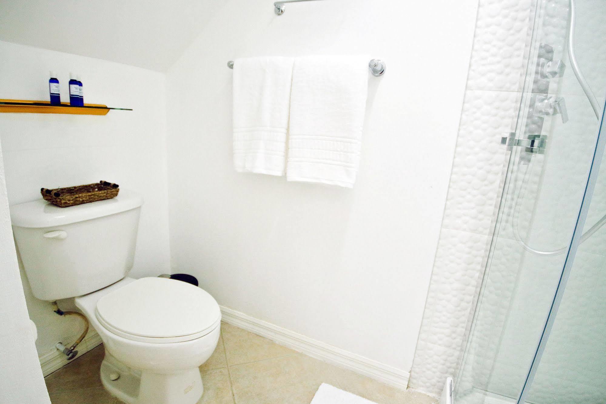 Cattleya Luxury Suites Kingston Zewnętrze zdjęcie